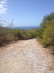 A beautiful view from the top of the trail down to the sea!